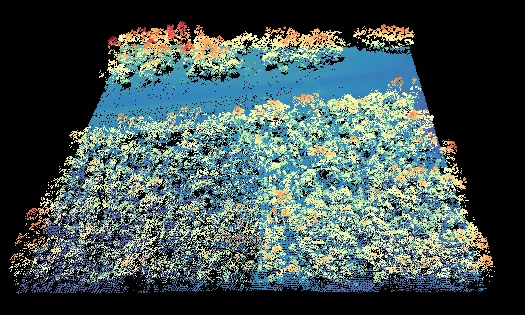 The unclipped point cloud.